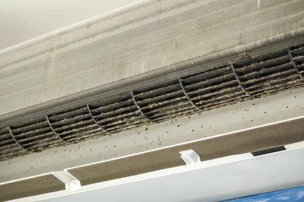 Best Affordable Duct Cleaning Services  in Hackensack, NJ
